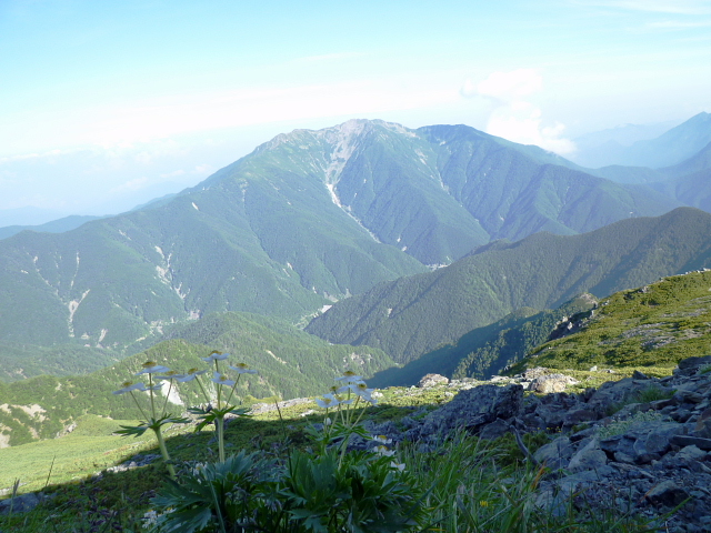 d0170615_755284.jpg