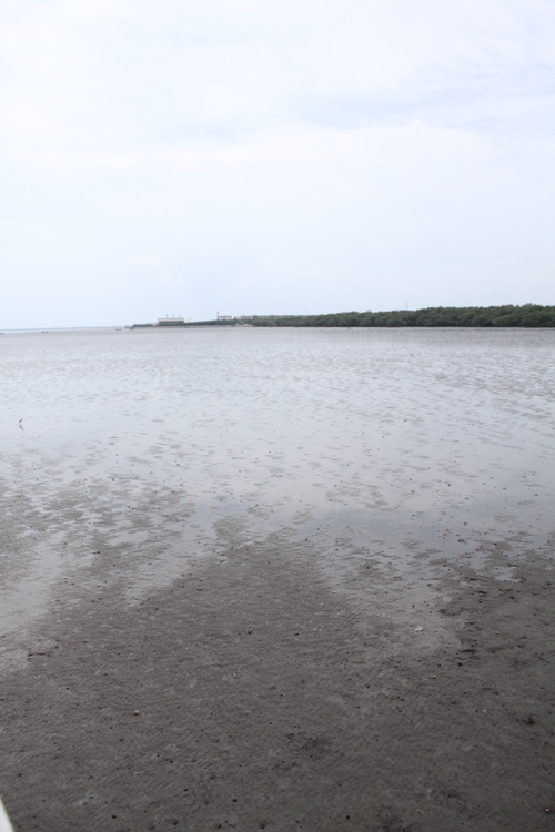 f0233916_21152948.jpg