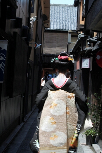 d0072318_167795.jpg