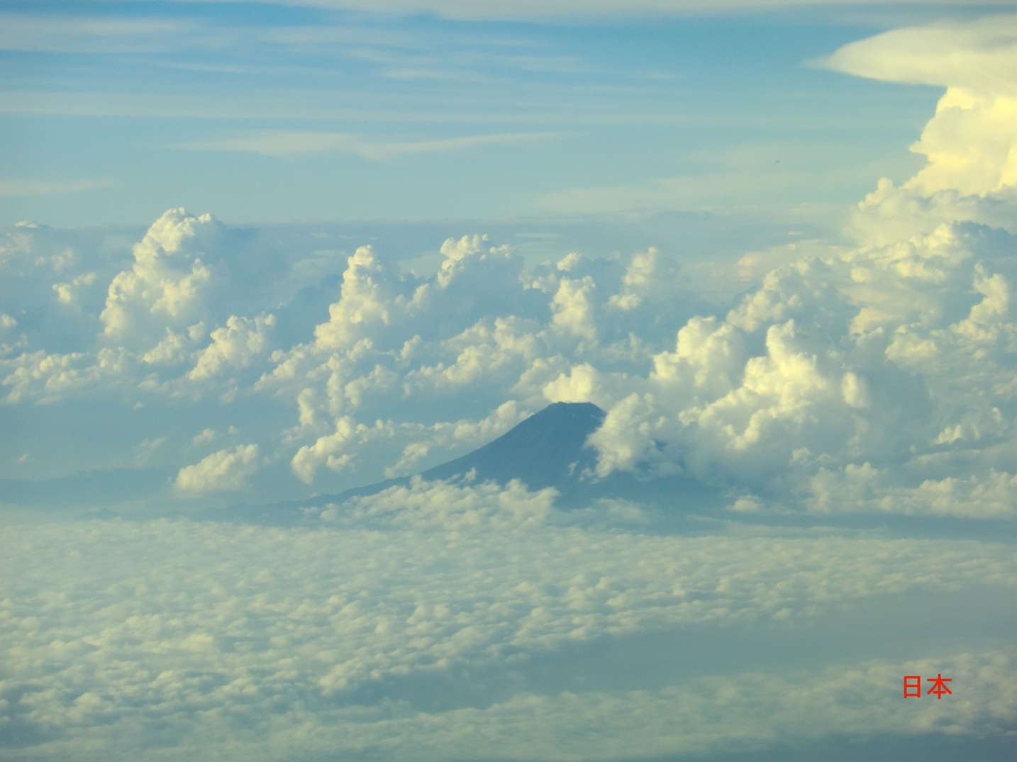 f0186021_9535858.jpg