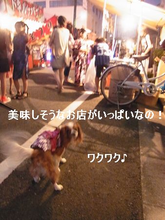 f0214121_833538.jpg
