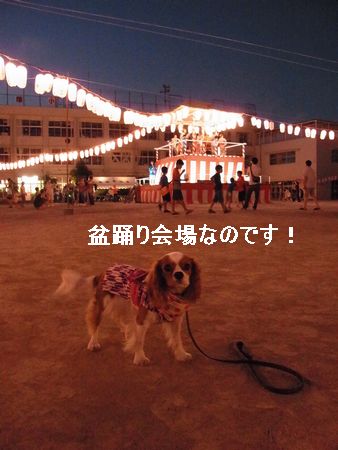 f0214121_8391187.jpg