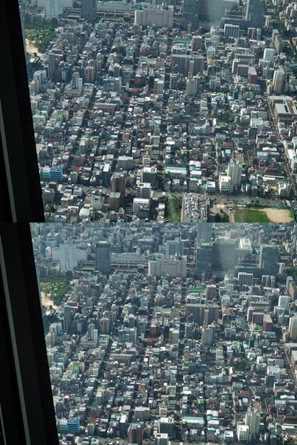 d0037233_9522387.jpg