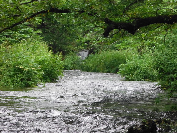 e0262235_221271.jpg