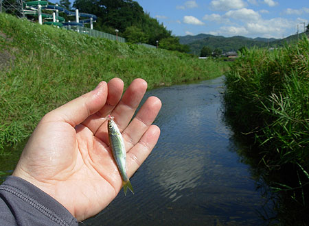 b0174137_2159686.jpg