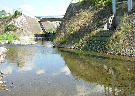 b0174137_2253231.jpg
