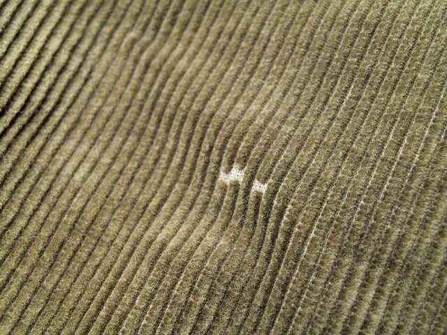 c0177238_1713516.jpg