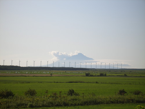 b0250353_10454634.jpg
