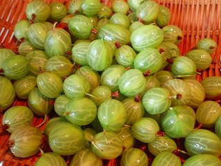 e0004756_2134278.jpg