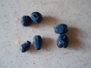 e0004756_2150558.jpg