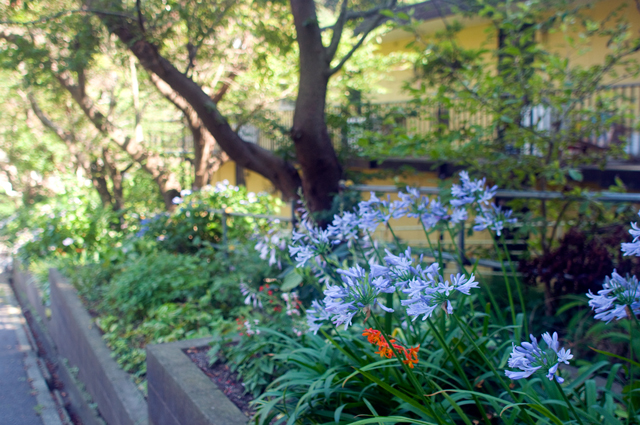 f0176458_6363987.jpg