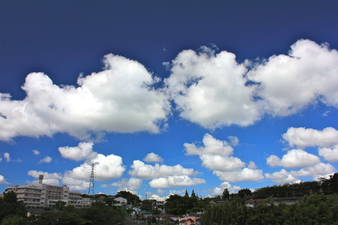 a0248459_19234437.jpg