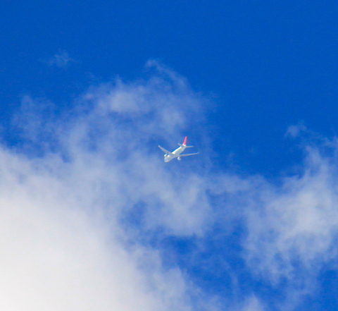a0248459_19244777.jpg
