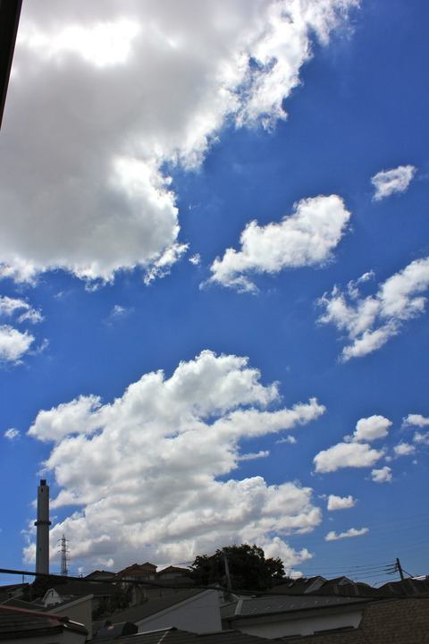 a0248459_1924935.jpg