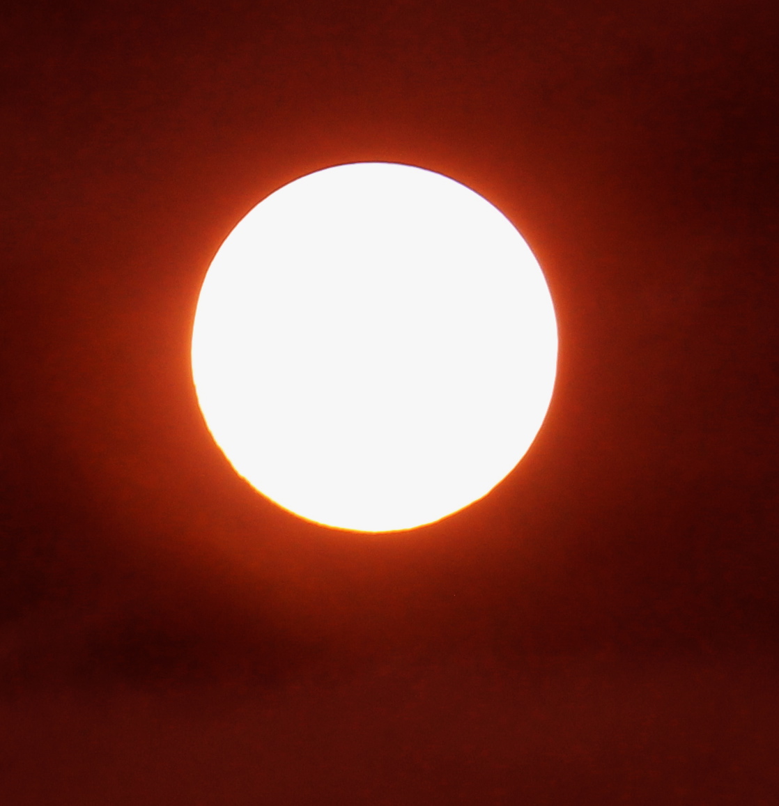 a0248459_1925414.jpg