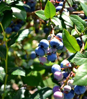 f0232763_2105165.jpg