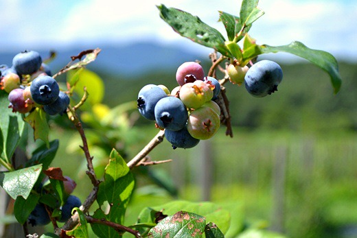 f0232763_2161380.jpg