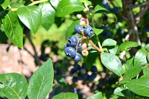 f0232763_2173254.jpg