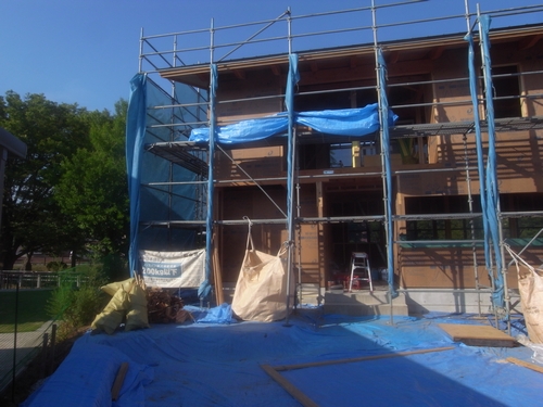 c0166668_324278.jpg