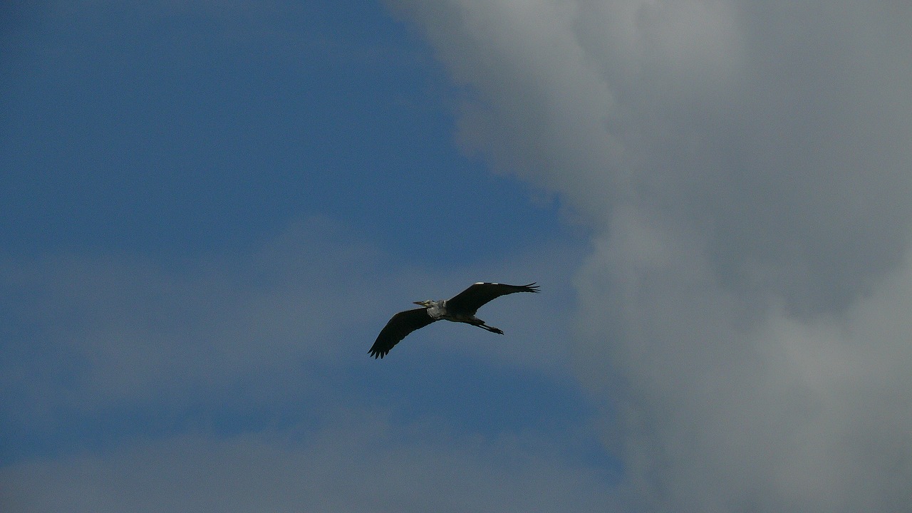 a0185081_23411791.jpg