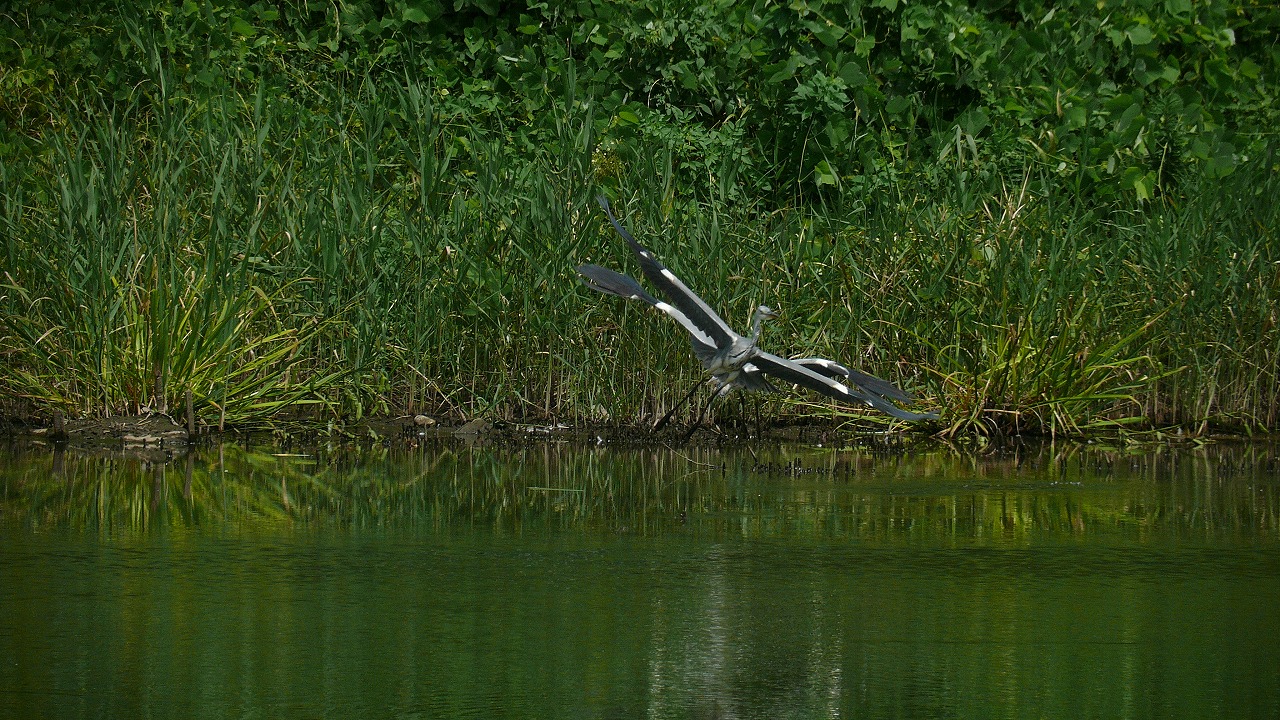a0185081_23423227.jpg