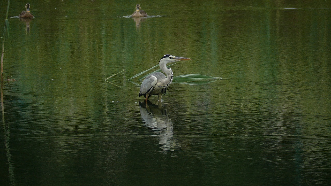 a0185081_23431570.jpg