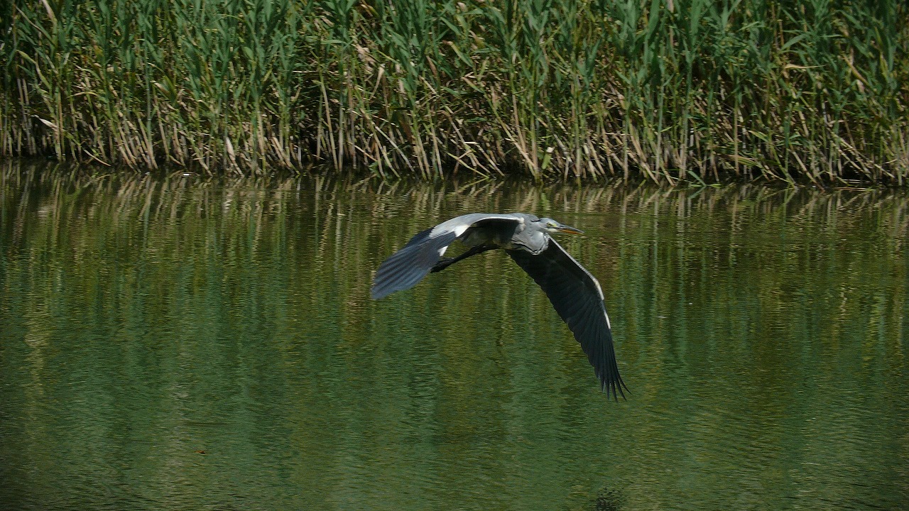 a0185081_2344146.jpg