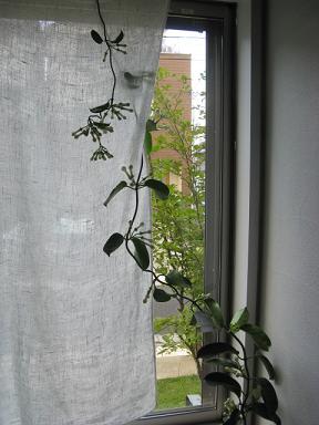 c0178588_22342632.jpg