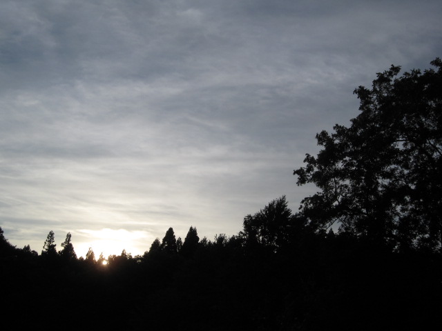 b0249296_19174493.jpg