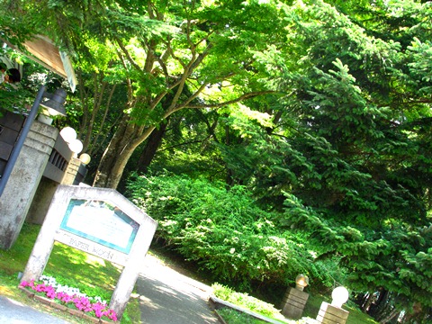 b0192199_15443895.jpg