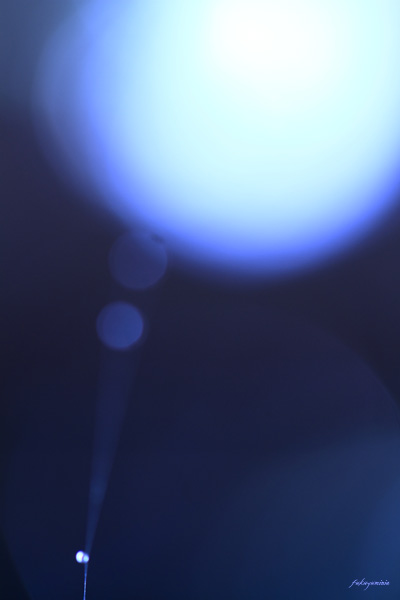 f0185802_8243764.jpg