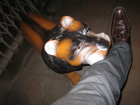 e0147206_1335353.jpg
