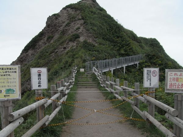 f0006510_16203852.jpg