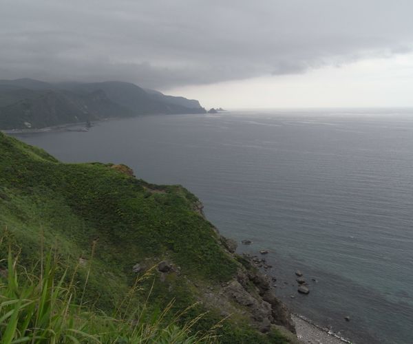 f0006510_16412384.jpg
