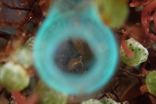 f0206424_16423440.jpg