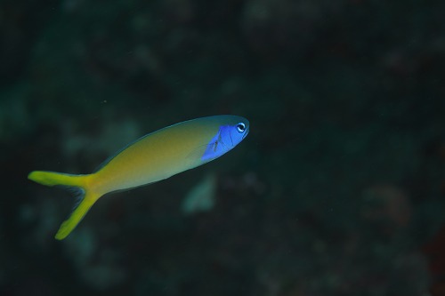 f0206424_164961.jpg