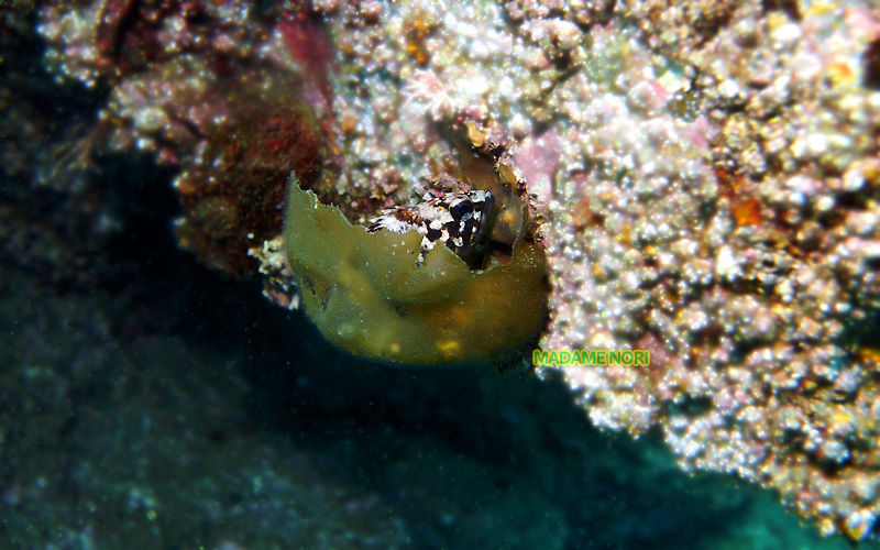 b0044726_13525195.jpg