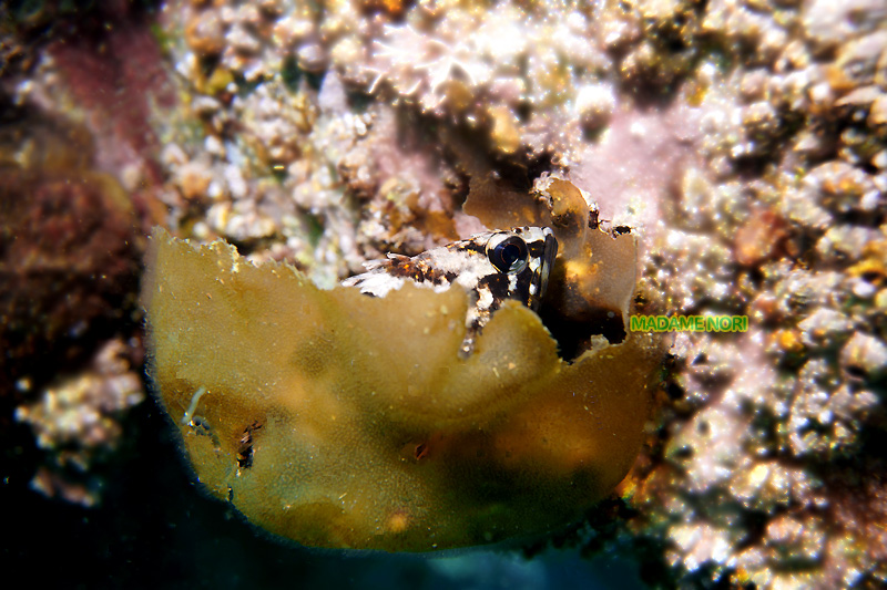 b0044726_13562287.jpg