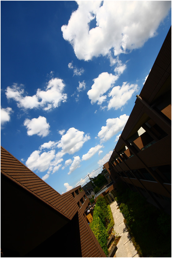 e0211826_2343998.jpg