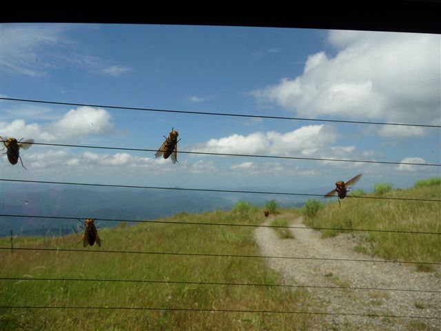 e0121329_21324930.jpg