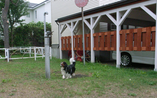 c0051132_20385935.jpg