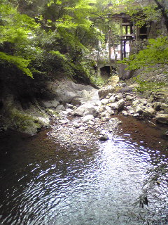 a0155838_1914419.jpg