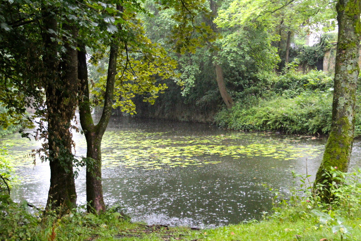c0153740_2483950.jpg