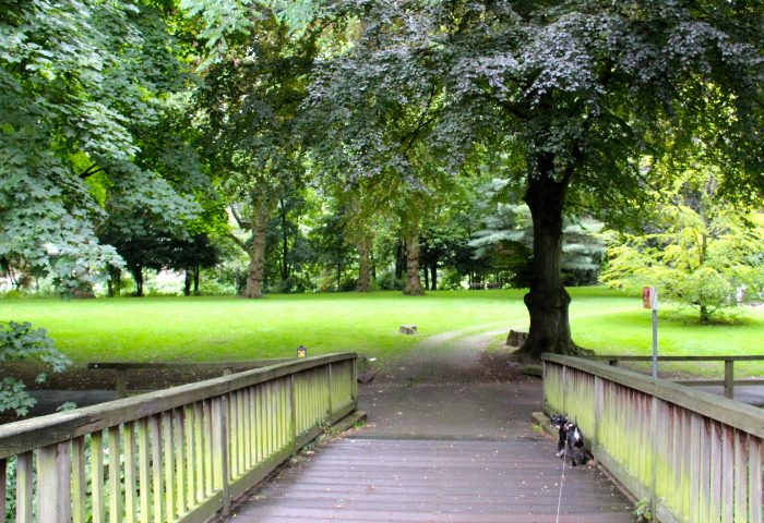 c0153740_2484613.jpg