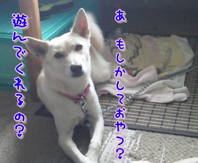 f0195543_15213439.jpg