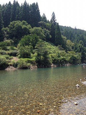 e0173645_17363195.jpg