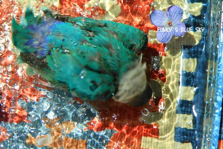 c0145250_12174917.jpg