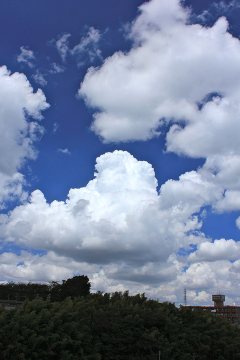 a0248459_10361272.jpg