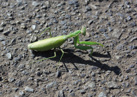a0248459_310871.jpg