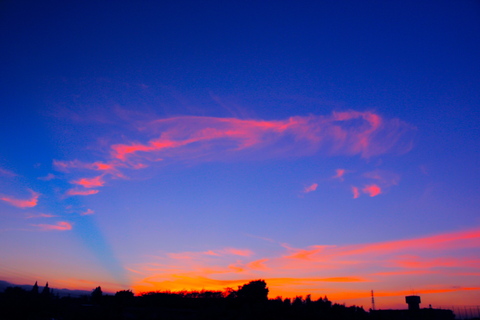 a0248459_3124283.jpg